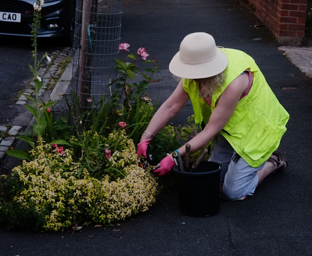 Colour and community: How a Fallowfield gardening project is making the community blossom