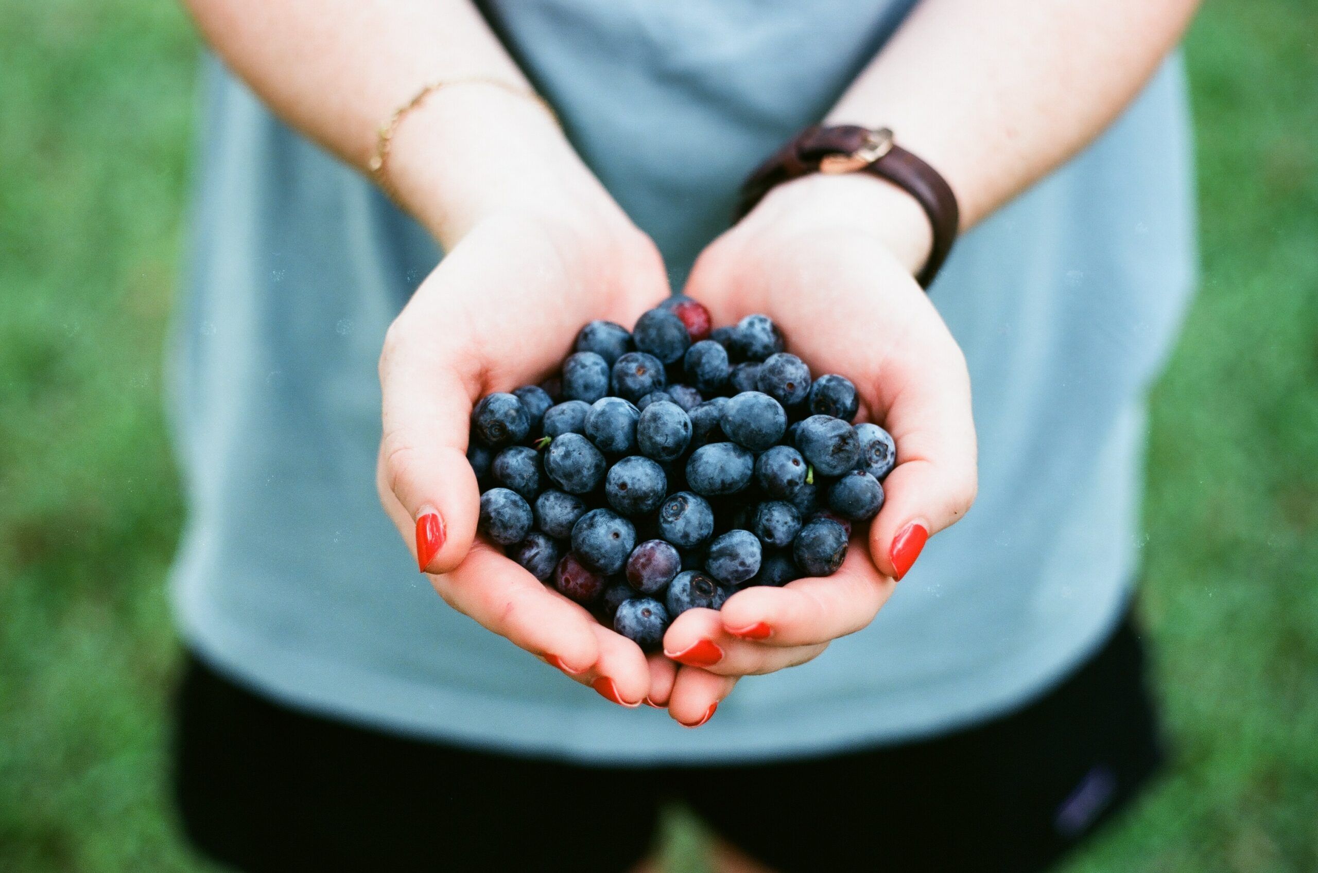 blueberries Photo: Andrew Welch @Unsplash