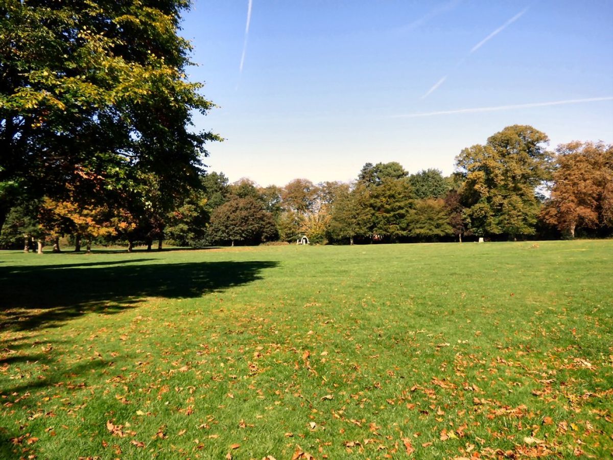 Plans to transform “unloved” space into 6.5 acre park revealed