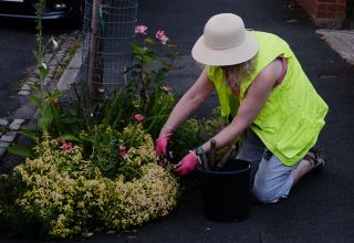 Colour and community: How a Fallowfield gardening project is making the community blossom