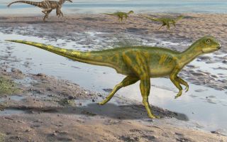 Dinosaurs: how do we know what they really looked like?