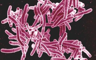 Scientists make breakthrough in TB treatment