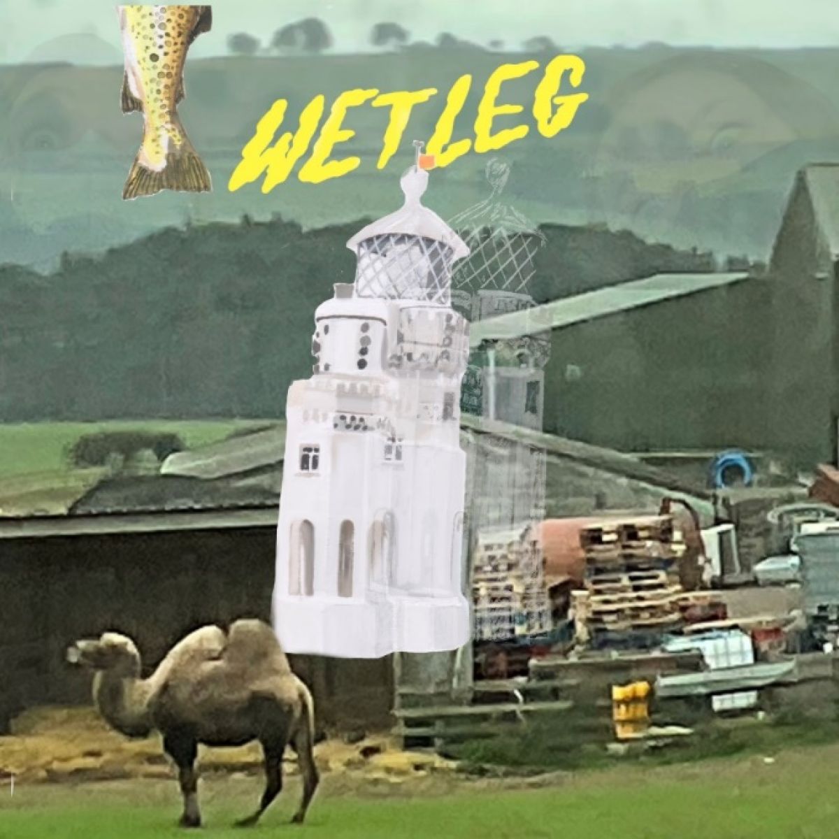 Angelica – Wet Leg’s newest single