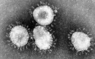 Why we shouldn’t be complacent about coronavirus