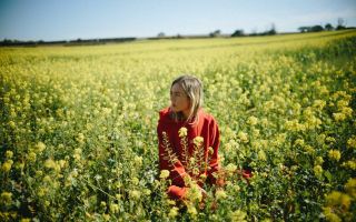Album Review: The Japanese House – Good At Falling