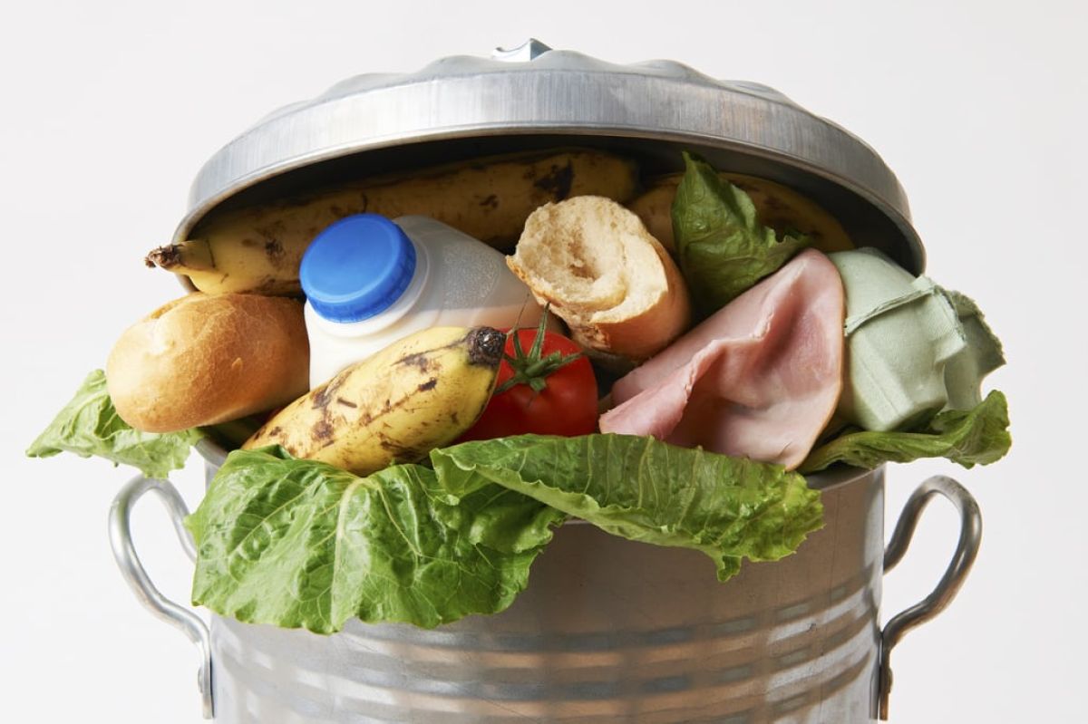 A third of all food is wasted and you’re responsible