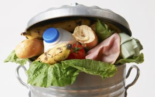 The world has a food waste problem
