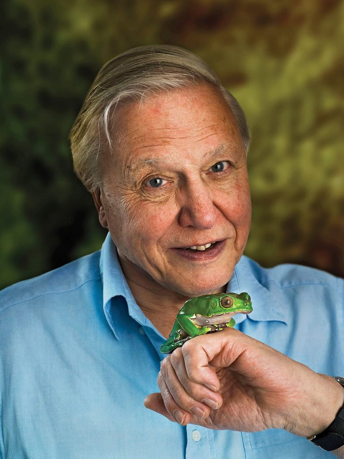 Attenborough let us down — but we can still rise up