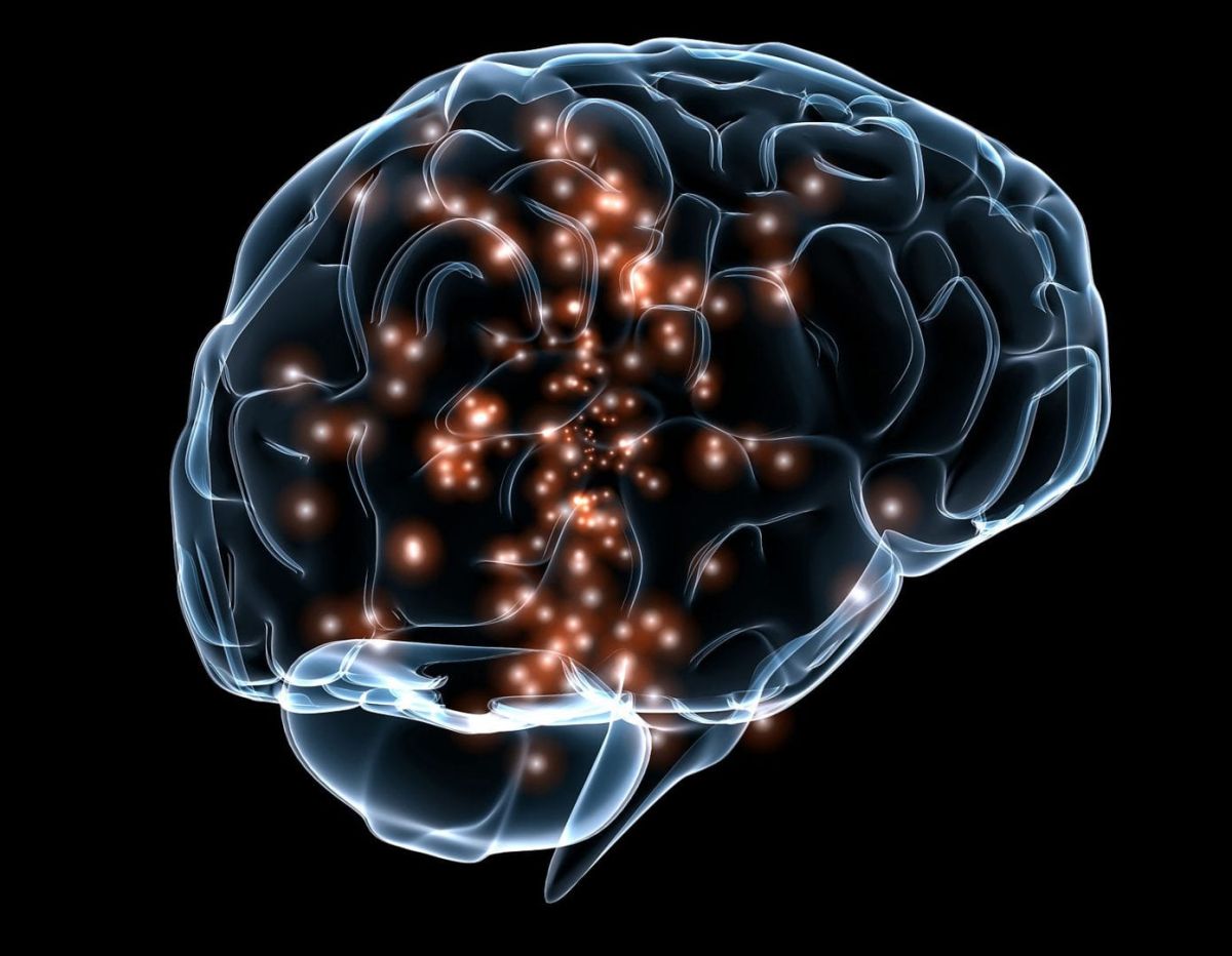 Researchers map Alzheimer’s Disease