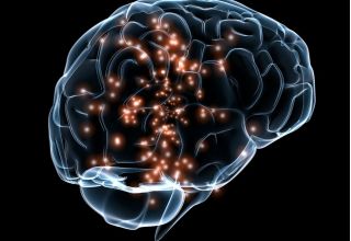 Researchers map Alzheimer’s Disease