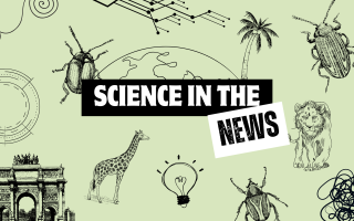 Science in the news: AI biodiversity, bed bug chaos, and puffy planets