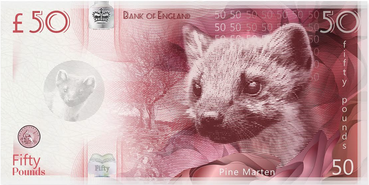 Will banknotes save the UK’s most endangered species?