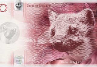Will banknotes save the UK’s most endangered species?