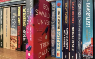 Boy Swallows Universe: Does reality make the best fiction?