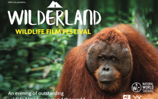 Wilderland wildlife film festival comes to Manchester