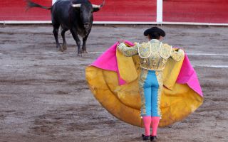 Opinion: why bullfighting needs to be banned in 2019