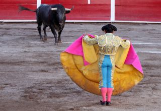 Opinion: why bullfighting needs to be banned in 2019