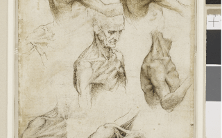 Leonardo da Vinci: A Life in Drawing