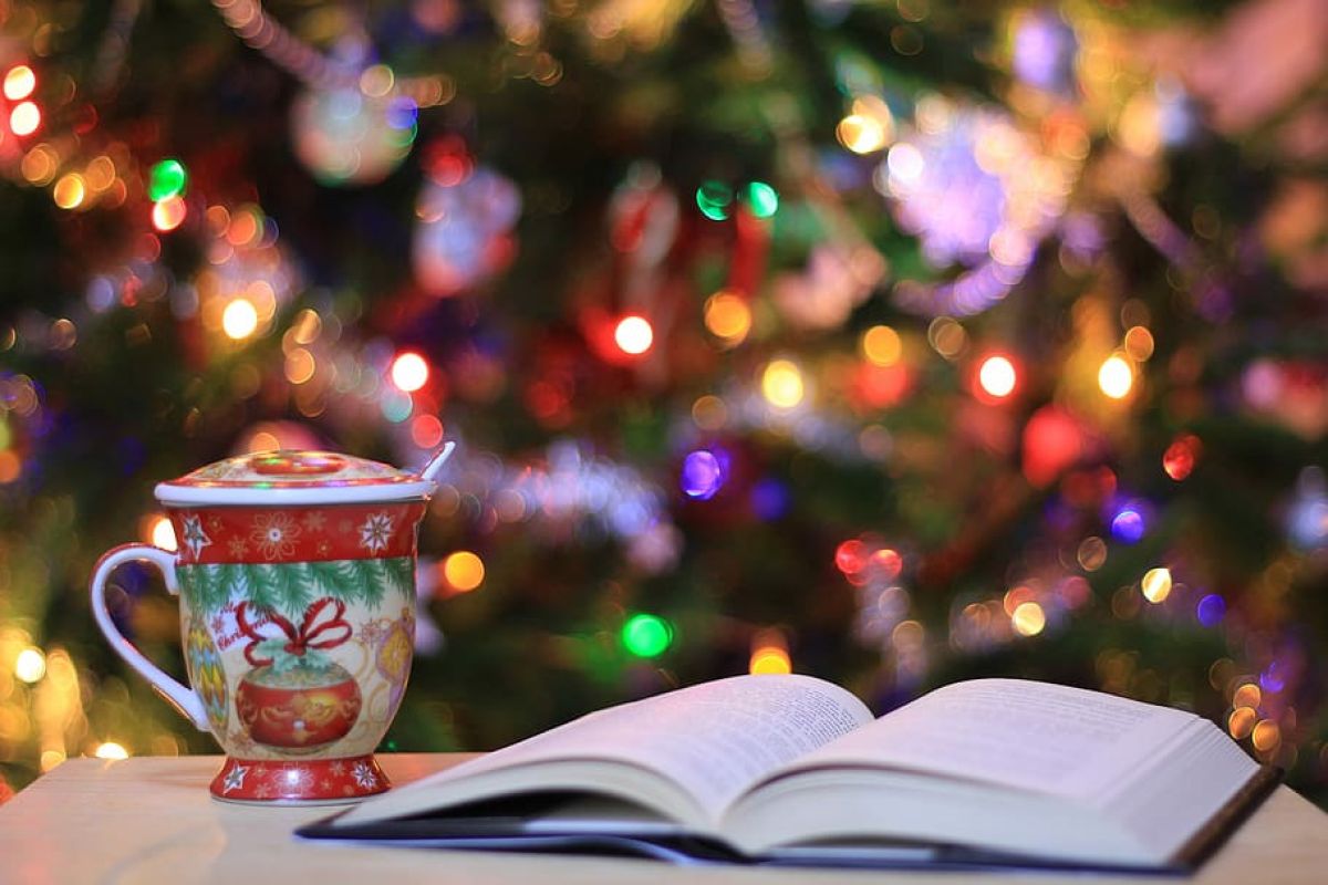 The Reading Agency Christmas appeal