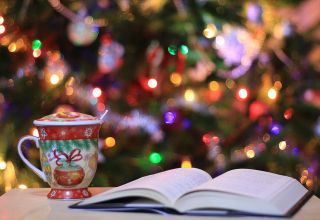 The Reading Agency Christmas appeal