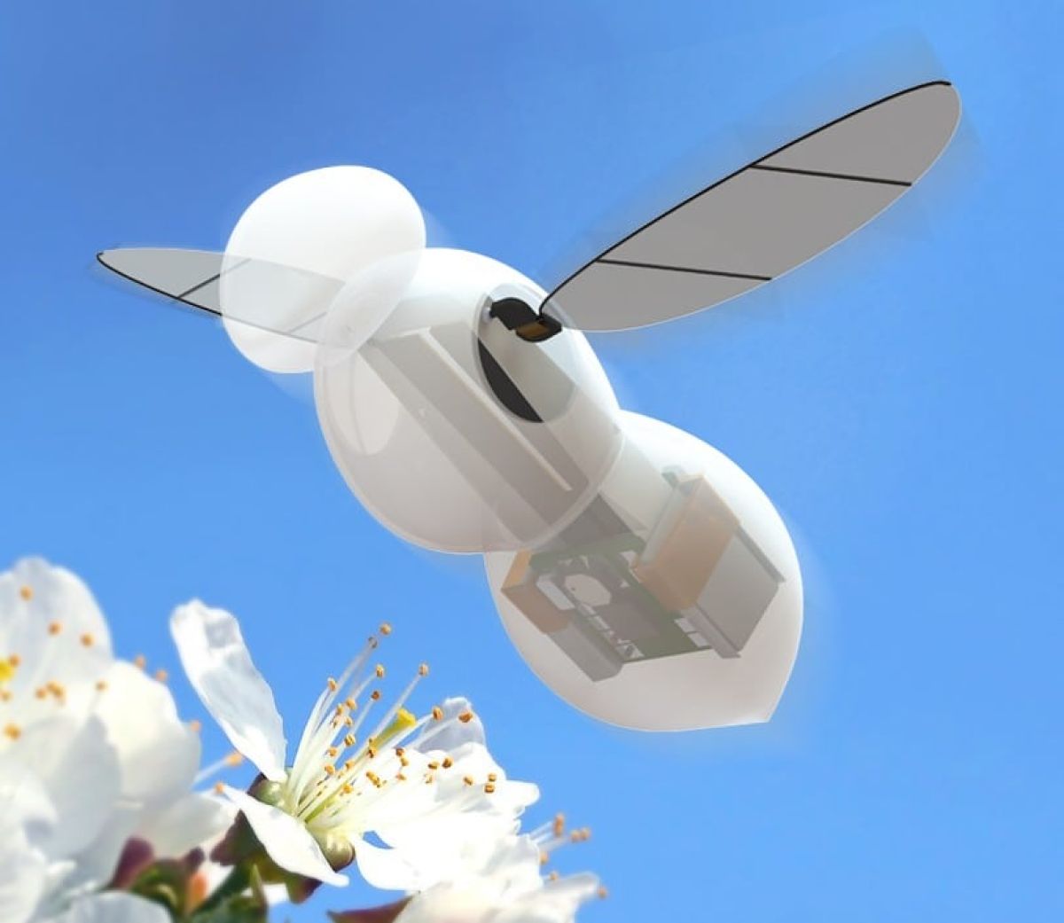 Micro-robots: flying bees and jumping spiders
