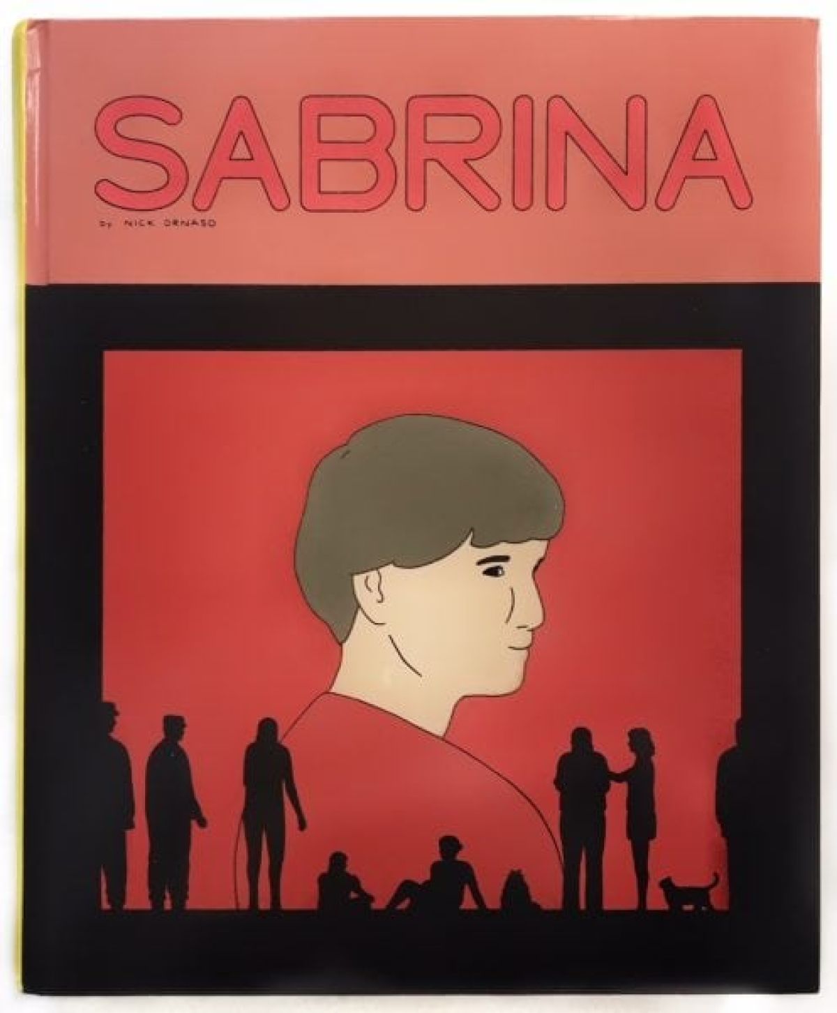 Review: Sabrina by Nick Drnaso