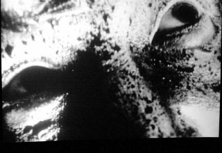 International Film: Tetsuo – A combination of gross-out body horror and cyberpunk cynicism