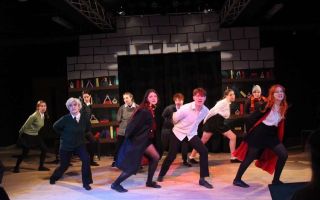 A Very Potter Musical: Review and interview with the director (UMMTS)