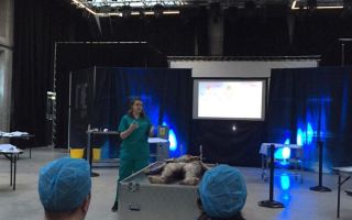 A live dissection experience: VIVIT
