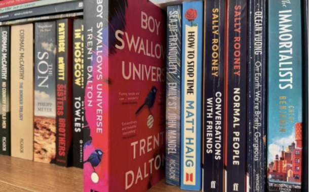 Boy Swallows Universe: Does reality make the best fiction?