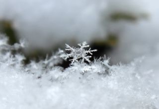 One of a kind: The science behind snowflakes