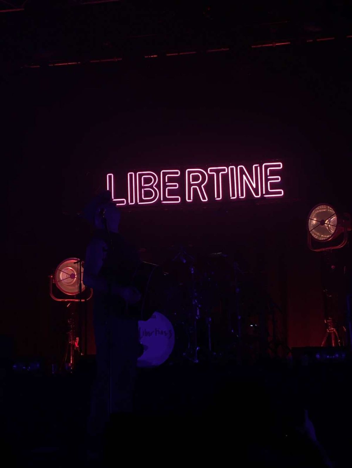 Live Review: The Libertines – All Grown Up or Still the Stylish Kids in the Riot?