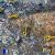 Identity and fast fashion: A story of overconsumption