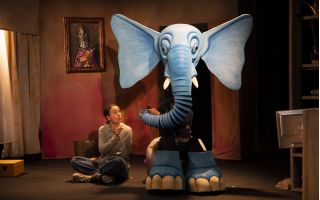 Review: The Slightly Annoying Elephant