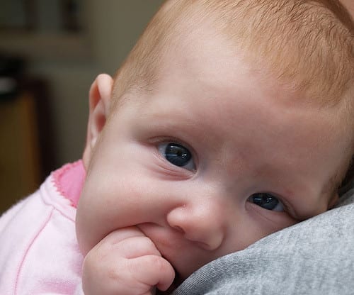 New research sheds light on babies' speech comprehension. Photo: christina rutz @ Flickr