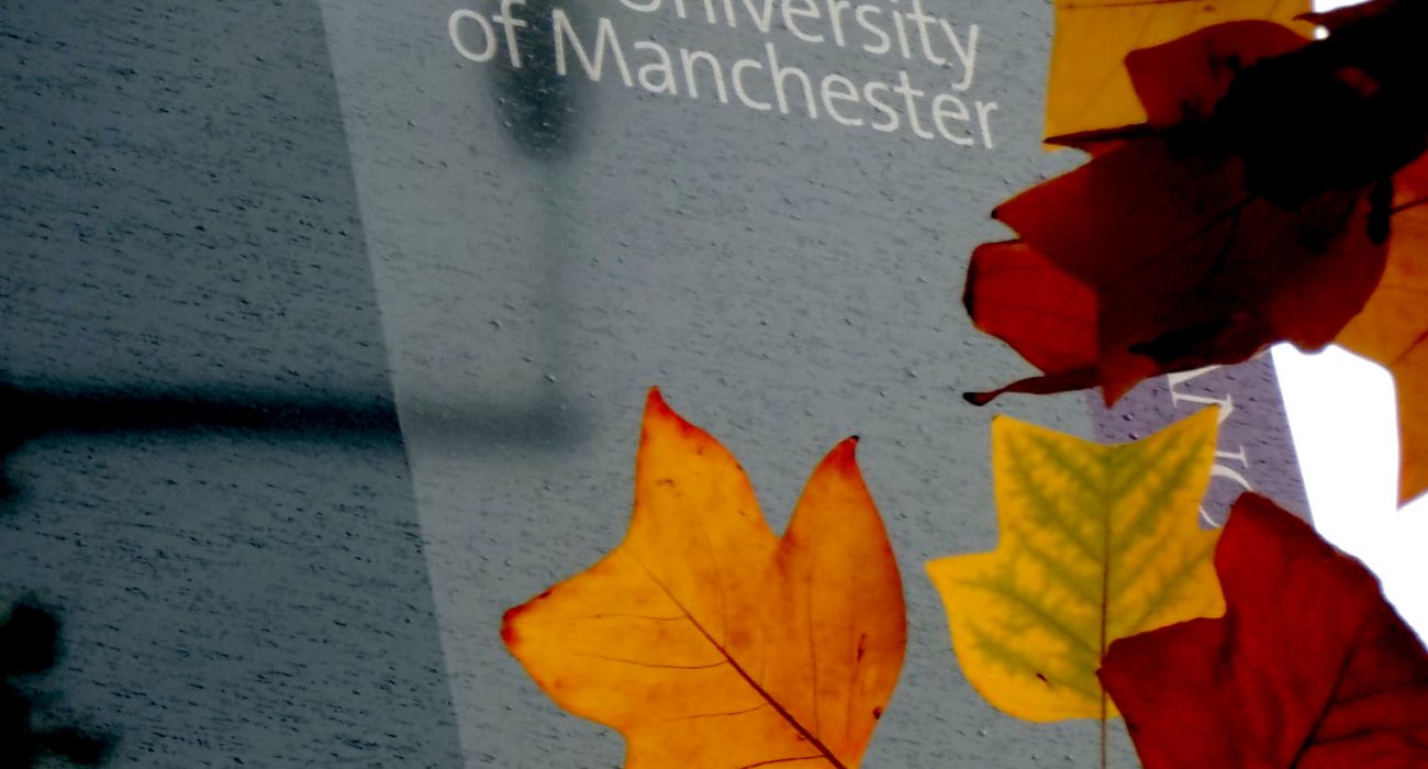 Autumn at the University of Manchester Photo: Gordon Marino @Flickr