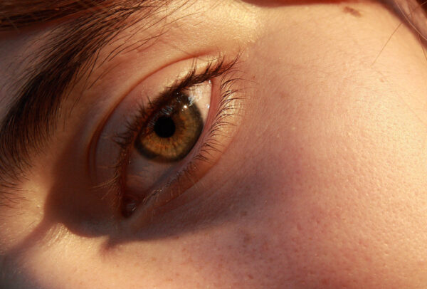 photo of a brown eye