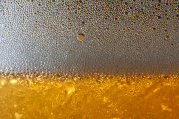 yeast causes the bubbles we see in beer