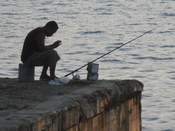 Heartless Angler Photo: Sarang @WikimediaCommons