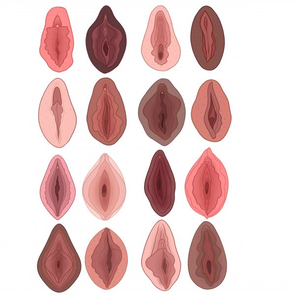 Art by Charlotte Wilcox courtesy of The Vagina Museum