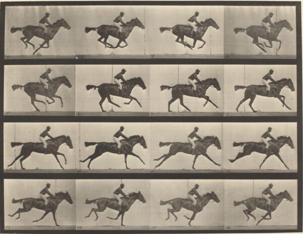earliest image of a jockey on a horse