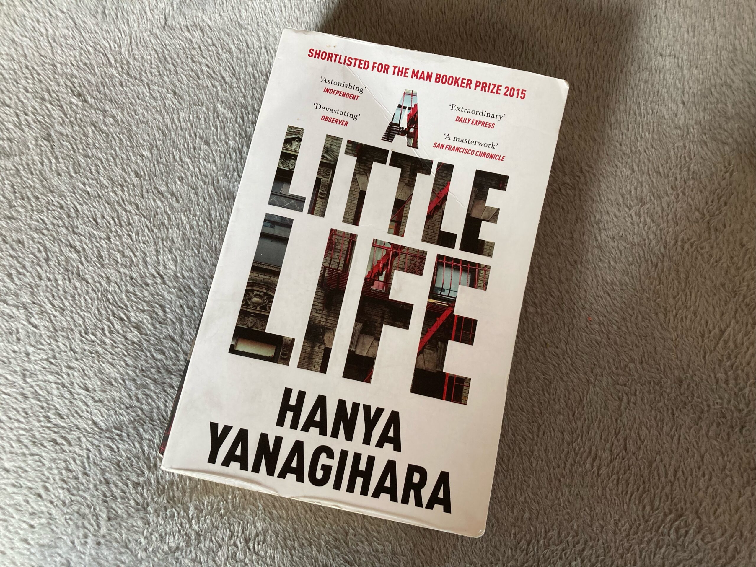 Hanya Yanagihara 2 Books Set (To Paradise & A Little Life)