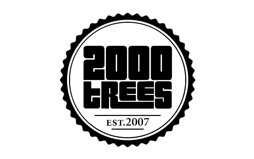 Photo: 2000 Trees festival
